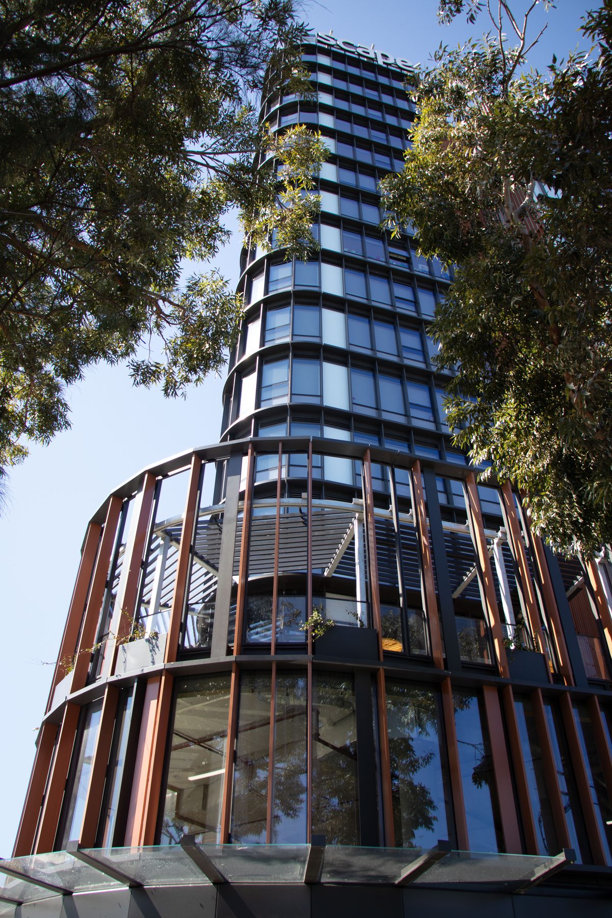 Low angle view of a curved high-rise facade through tree canopy